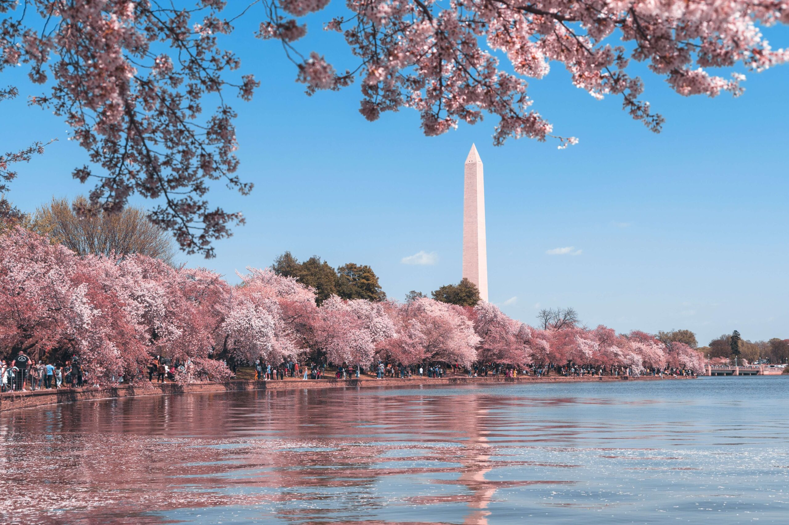 The 2023 NEMA MidYear Forum Tidal Basin Group