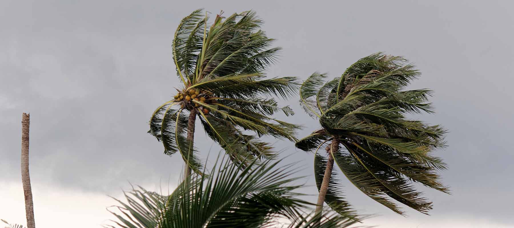 Transitioning from Tropical Storm Oscar to Hurricane Oscar Key