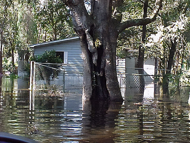 House and tree surrounded by freshwater flooding in Tampa Bay region from 2001 Tropical Storm Gabrielle