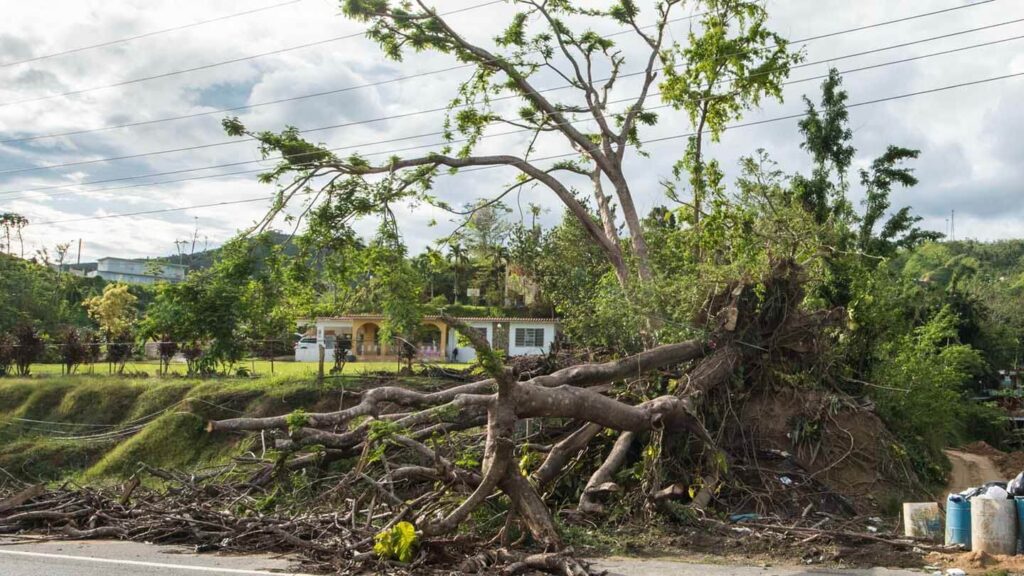 Photo of damage from Hurricane Maria in 2017 in Puerto Rico