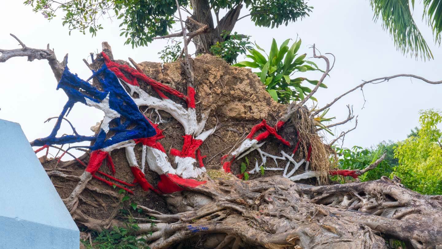 Painted Puerto Rico state flag on uprooted tree from 2017 Hurricane Maria in San Juan, Puerto Rico